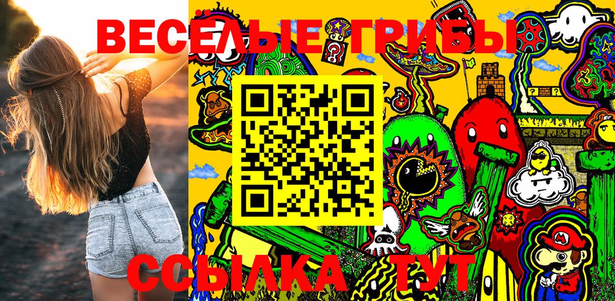 Гусев  Псилоцибиновые грибы Cubensis  Вход с VPN 