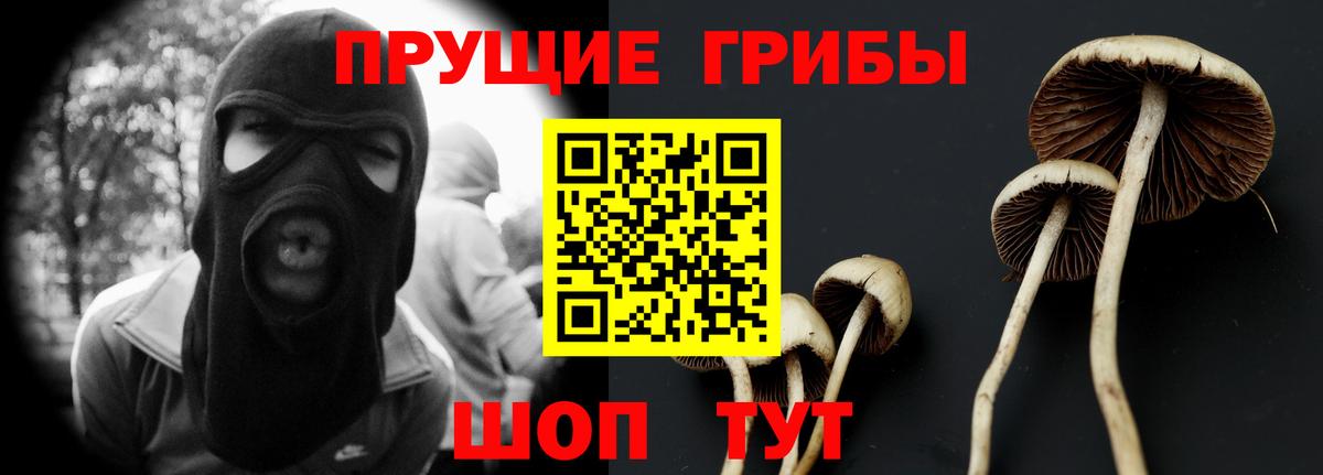 Псилоцибиновые грибы мицелий Гусев